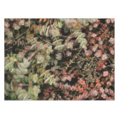 Nappe Crassula perforata (Devant (Horizontal))