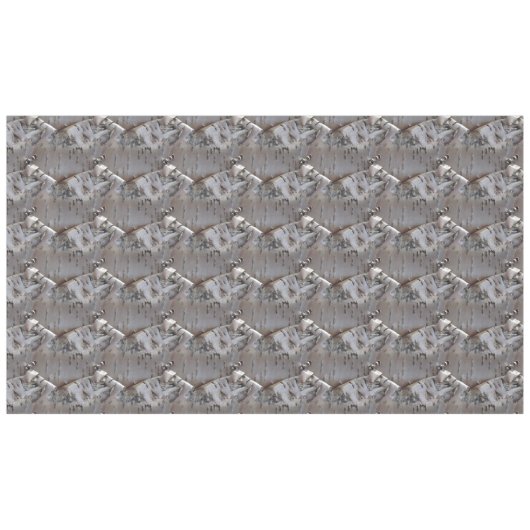 Nappe Curly Birch Bark Tree Rustic Tablecloth (Devant (Horizontal))