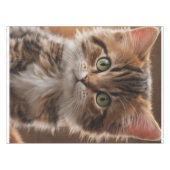 Nappe Cute Kitten (Devant (Horizontal))