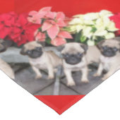 Nappe de chiots de Noël (Angle)