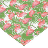 Nappe de Flamants roses (Angle)