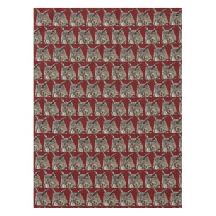 Nappe de hibou
