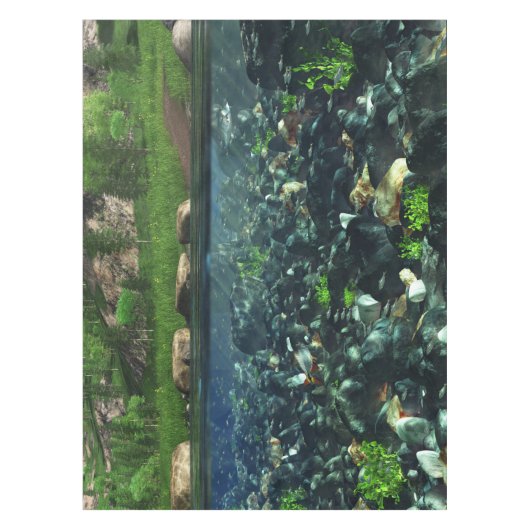 Nappe de la rivière Cwn (Devant)