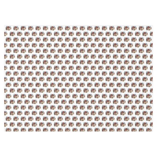 Nappe de Noël, Vintage (Devant (Horizontal))