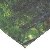 Nappe de Silver River Falls (Angle)