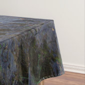 Nappe de Silver River Falls (In Situ)