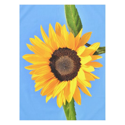 Nappe de tournesol jaune (Devant)