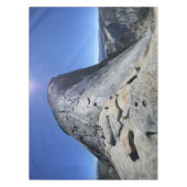 Nappe Demi-dôme de la Base des Câbles - Yosemite (Devant)