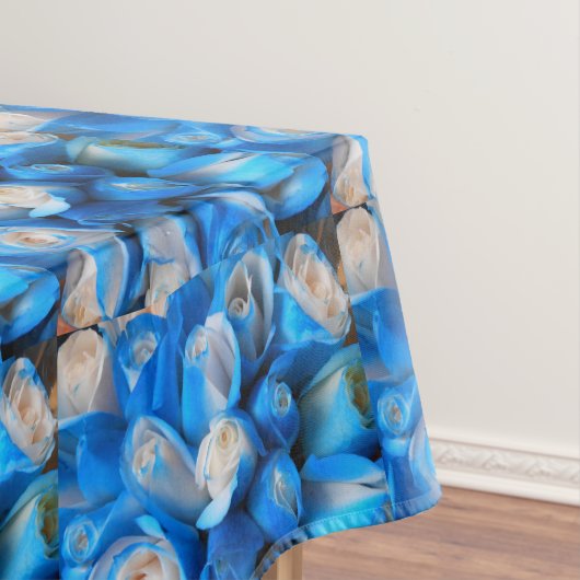 Nappe Diemudis (In Situ)