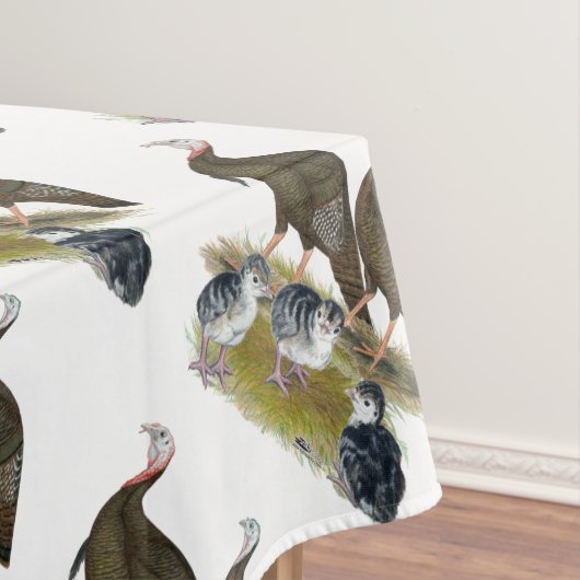 Nappe Dindes Famille Sauvage de l'Est (In Situ)