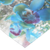 Nappe Donella (Angle)