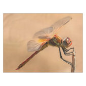 Nappe Dragonfly peinte isolée contre Ecru (Devant (Horizontal))