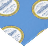 Nappe du drapeau de Boston, Massachusetts (Angle)