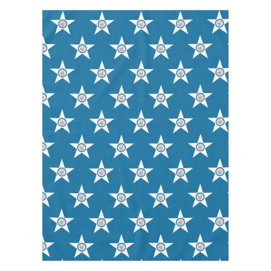 Nappe du drapeau de la ville de Houston, Texas (Devant)