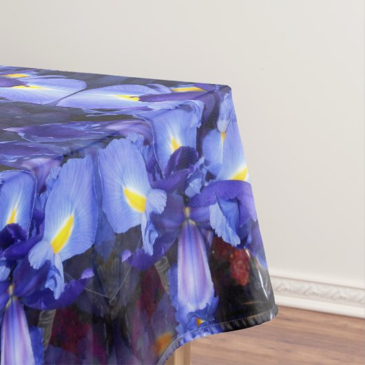 Nappe Ermengarde (In Situ)