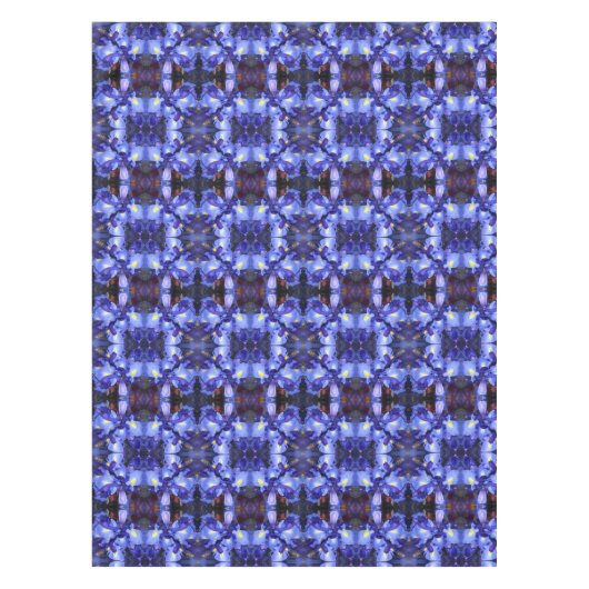 Nappe Ermengarde (Devant)