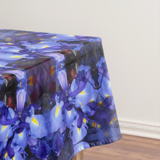 Nappe Ermengarde (In Situ)