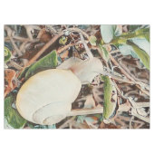 Nappe escargot (Devant (Horizontal))