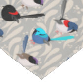 Nappe Fairy Wrens (Angle)