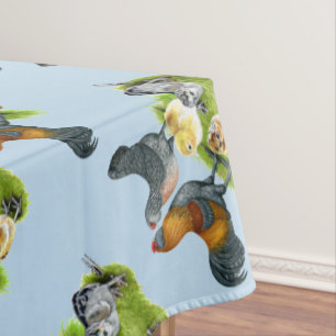 Nappe Famille de poulets Ameraucana