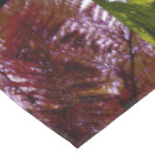 Nappe Fermes En Trois Couleurs, (Angle)