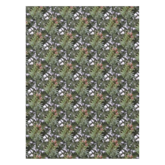 Nappe Fir buds (Devant)