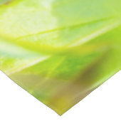 Nappe fixation calme (Angle)