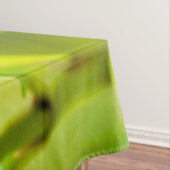 Nappe fixation calme (In Situ)