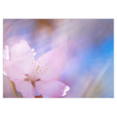 Nappe Fleur de cerisier rose (Devant (Horizontal))