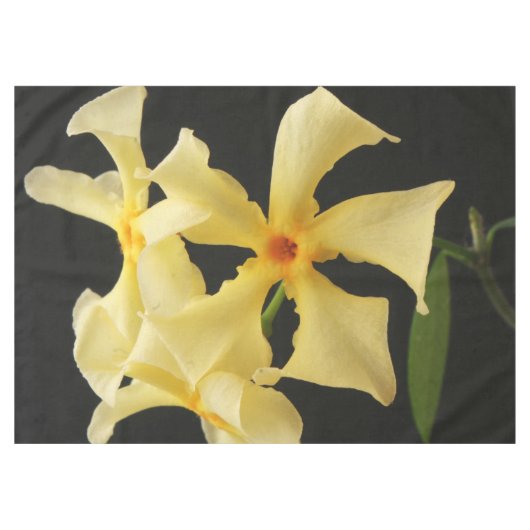 Nappe Fleur Jasmin Star 60x84 tccna (Devant (Horizontal))