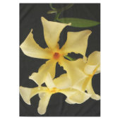 Nappe Fleur Jasmin Star 60x84 tccna (Devant)