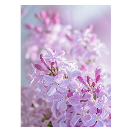 Nappe Fleur lilas rose (Devant)