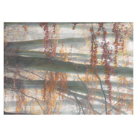 Nappe Forêt brumeuse mystique en automne (Devant (Horizontal))