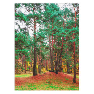 Nappe Forêt mixte d'automne