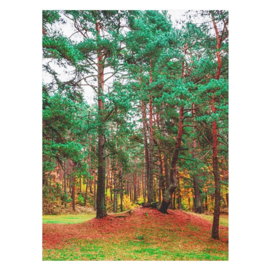 Nappe Forêt mixte d'automne (Devant)