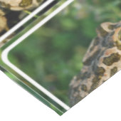 Nappe Froggy (Angle)