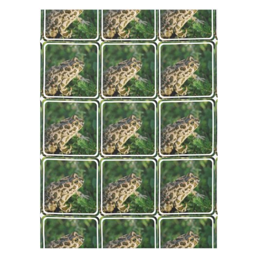 Nappe Froggy (Devant)