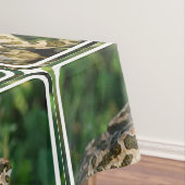 Nappe Froggy (In Situ)