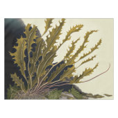 Nappe Front de Tidal (Devant (Horizontal))
