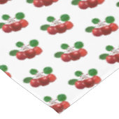 Nappe Fruits et fleurs de pomme sur branche sur blanc (Angle)