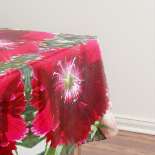 Nappe Geertje (In Situ)