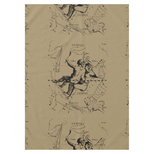 Nappe Gemini Constellation Map Hevelius vers 1690 (Devant)