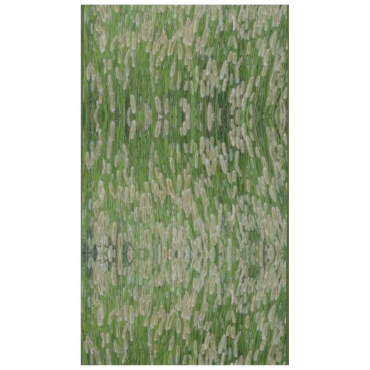 Nappe Graines vertes (Devant)