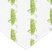 Nappe Grasshoppers (Angle)