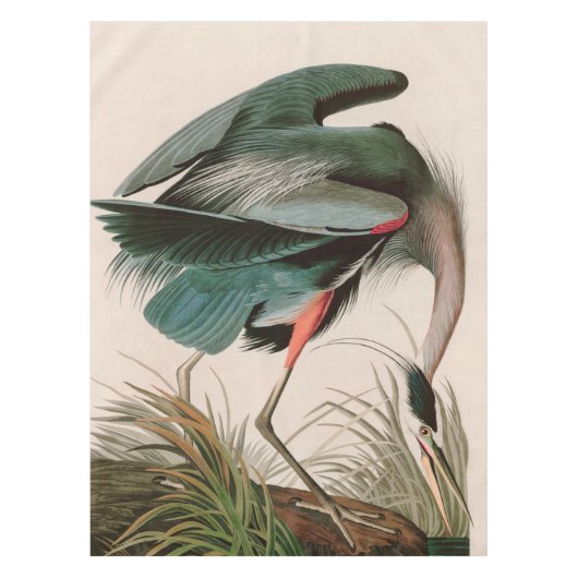 Nappe Great Blue Heron Birds of America Audubon Imprimer (Devant)