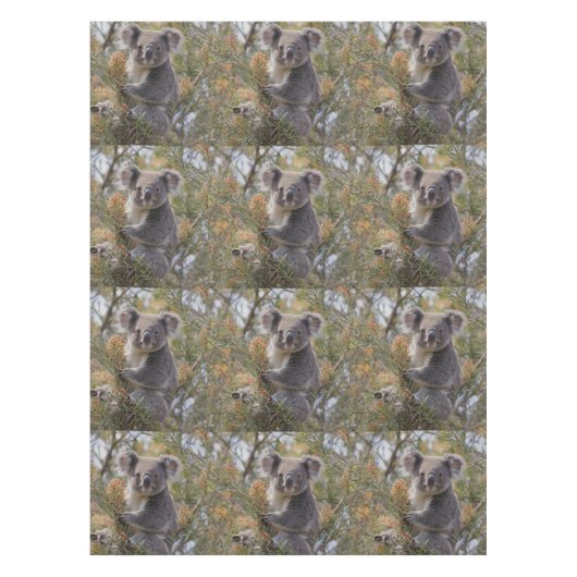 Nappe Grevillea Koala Bear, (Devant)
