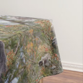 Nappe Grevillea Koala Bear, (In Situ)