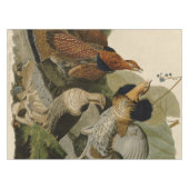 Nappe Groupement rouffé par John Audubon (Devant (Horizontal))