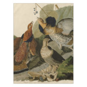 Nappe Groupement rouffé par John Audubon (Devant)