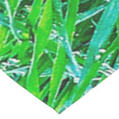 Nappe Herbe couverte de rosée (Angle)